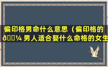 偏印格男命什么意思（偏印格的 🌼 男人适合娶什么命格的女生）